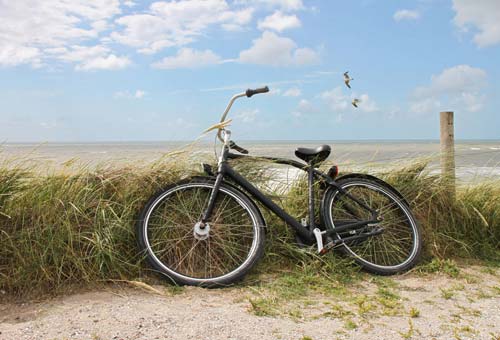 Ein Fahrrad in den Dünen Sylts