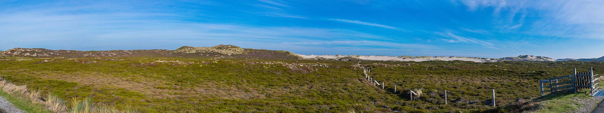 Dünenlandschaft in List auf Sylt