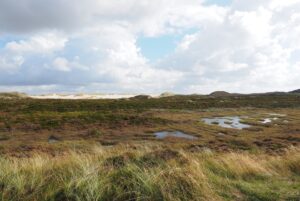 Sylt im Herbst